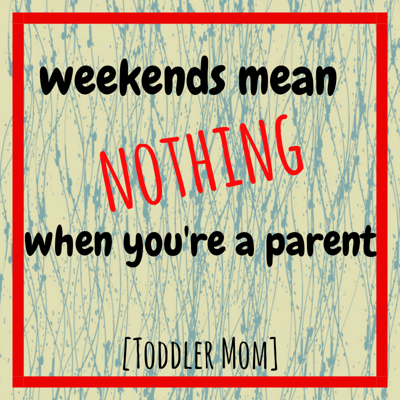 20180513_080452_0001