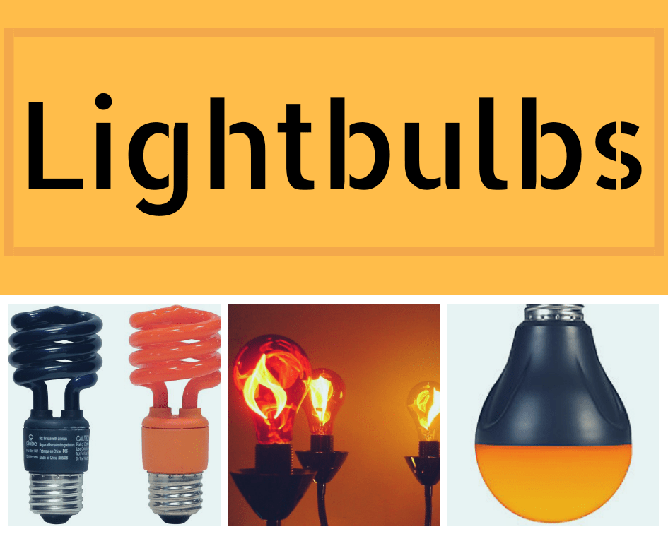 20180910_044647_0001