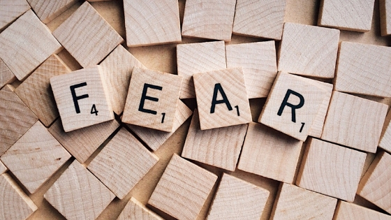 Do you have Holiday spirit_ (2)