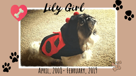 Lily Girl